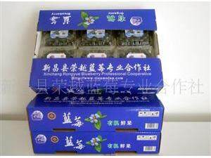 “天姥蓝”蓝莓鲜果1500g装