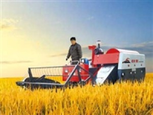 Chery 4LZ-3.0Z Rice Harvester
