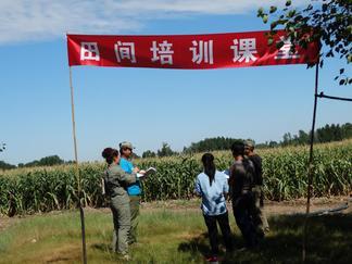 呼伦贝尔：扎兰屯市农机局把喷灌机械应用培训下沉到农田地头