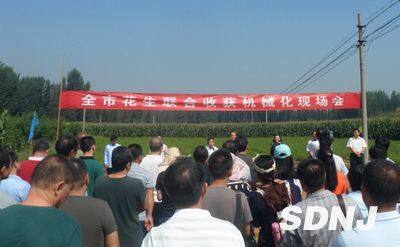 淄博市召开全市花生联合收获机械化现场会