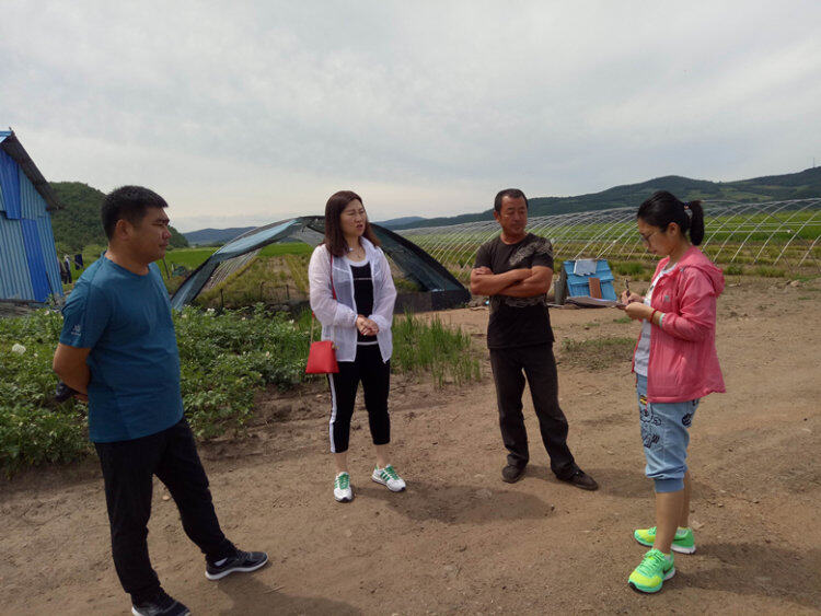 呼伦贝尔市：鄂伦春旗农机管理站深入南部乡镇调研农机化农作物