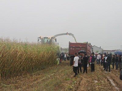 2017年农机宝网收获节暨青贮收获机械现场演示会（呼和浩特站）圆满结束