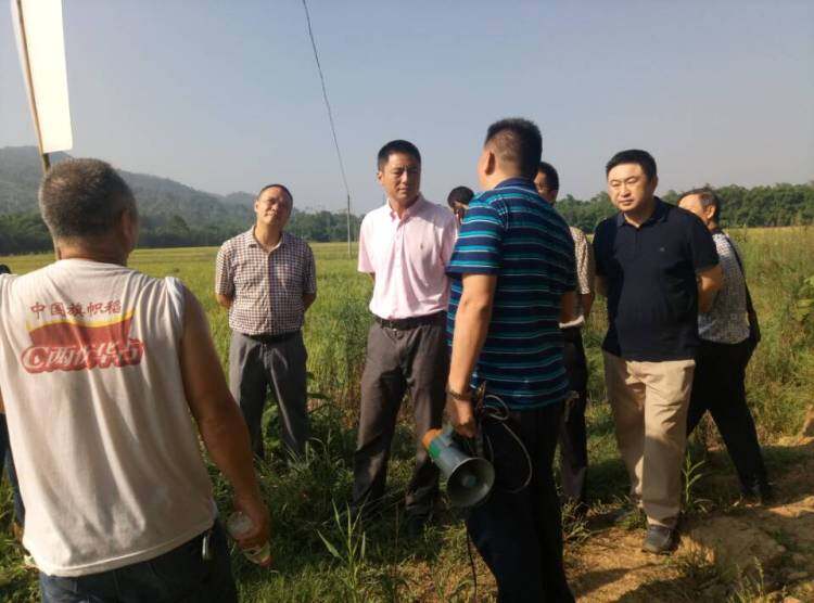 副区长程虎和农委主任欧文礼深入机收一线指导机收安全工作