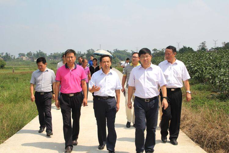 图为在津地禾公司察看生产现场