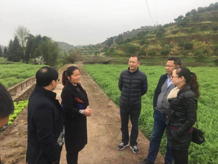 调研了忠县晨帆农机专业合作社农机装备结构及规模种植