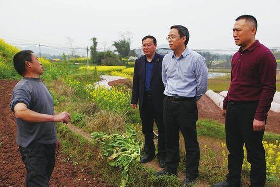 李应兰（右二）在合川区三庙镇宝龙村与群众亲切交谈