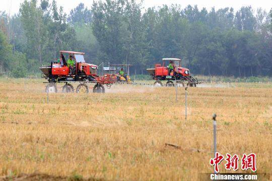 山东多地农民为土地请“保姆”改变小而散传统耕种模式