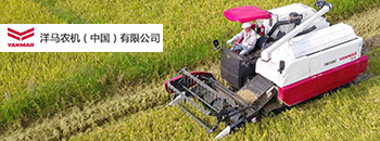 洋馬YH1180（4LZ-4.5A)全喂入稻麥聯合收割機