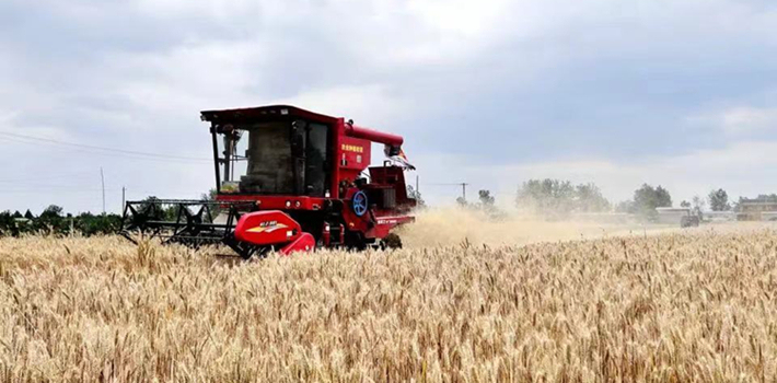 如何看待今年小麦收获机市场表现？